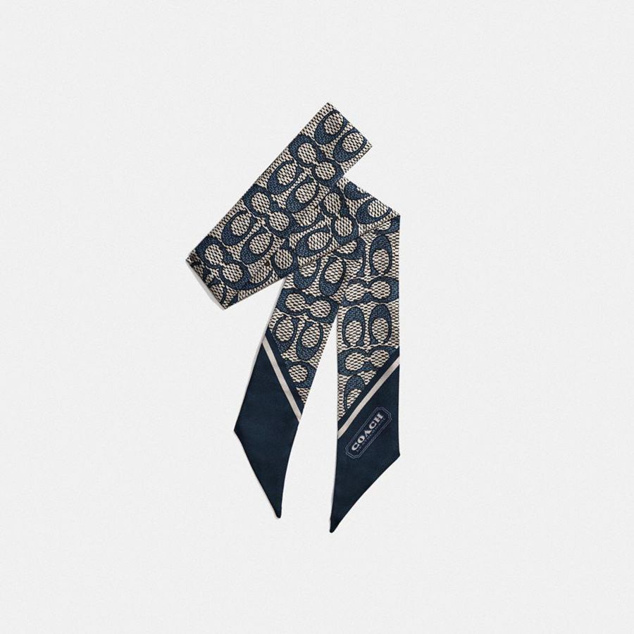 Bufanda COACH Textured Signature Print Silk Skinny Mujer Negros | ONTI-50163