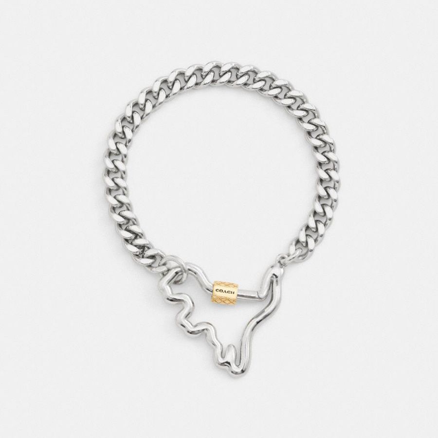 Joyeria COACH Carabiner Rexy Curb Chain Bracelet Mujer Plateados | CYWJ-73489