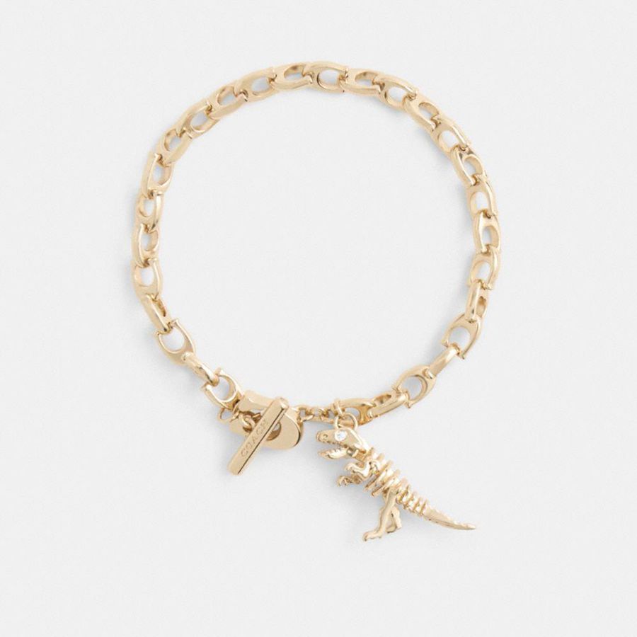 Joyeria COACH Skeletal Rexy Signature Chain Bracelet Mujer Dorados | WVGH-53178