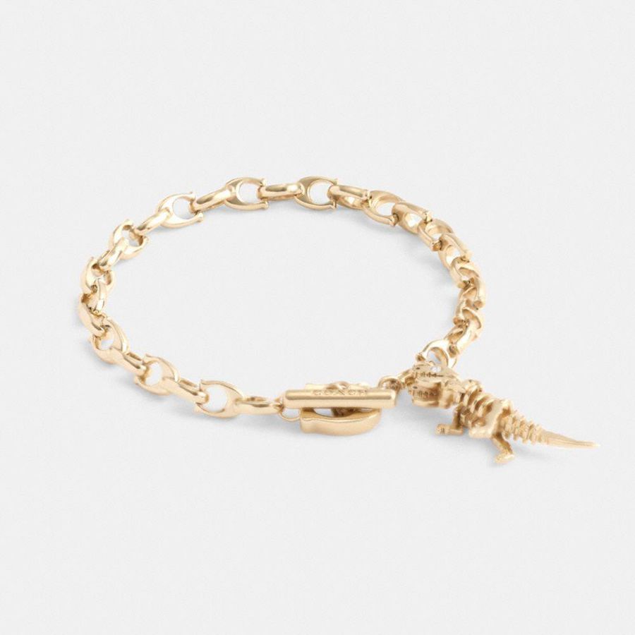 Joyeria COACH Skeletal Rexy Signature Chain Bracelet Mujer Dorados | WVGH-53178