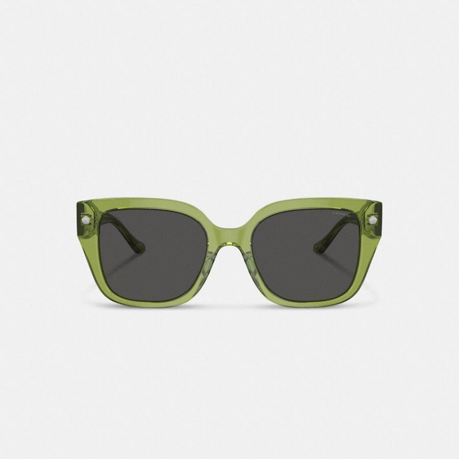 Lentes de Sol COACH Charms Oversized Square Mujer Verdes | IZVY-09218