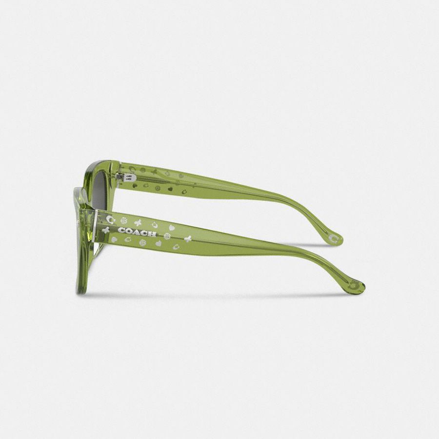 Lentes de Sol COACH Charms Oversized Square Mujer Verdes | IZVY-09218