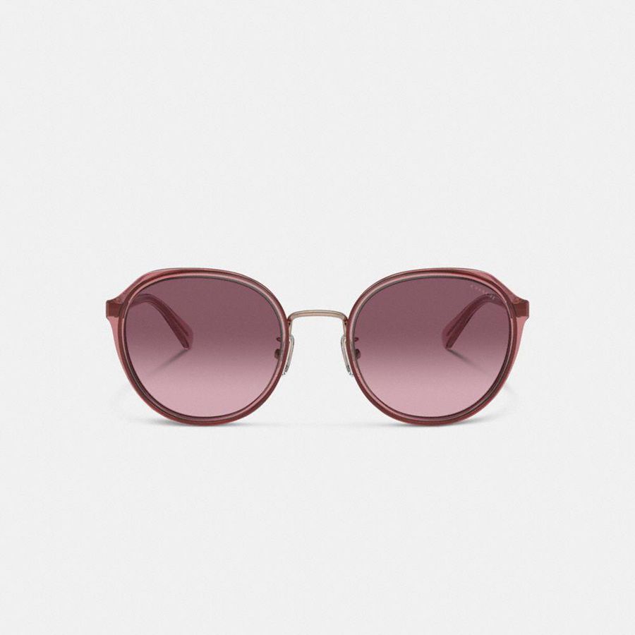 Lentes de Sol COACH Hangtag Geometric Round Mujer Rosas | JHPR-09267