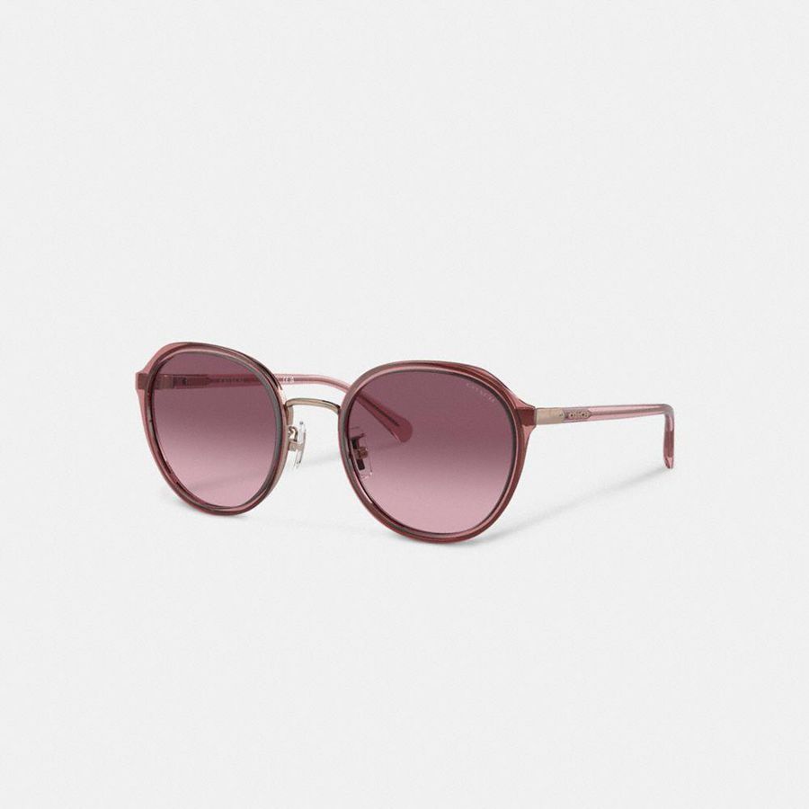 Lentes de Sol COACH Hangtag Geometric Round Mujer Rosas | JHPR-09267