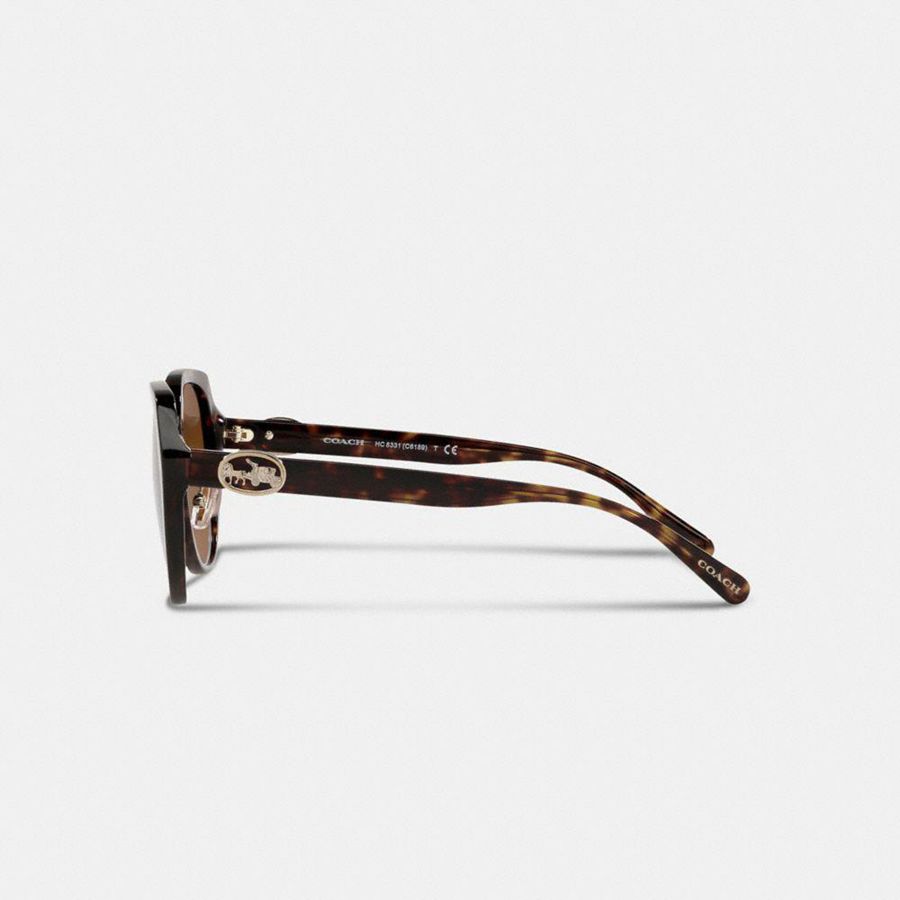 Lentes de Sol COACH Horse And Carriage Oversized Round Mujer Marrom | ZCPK-35871