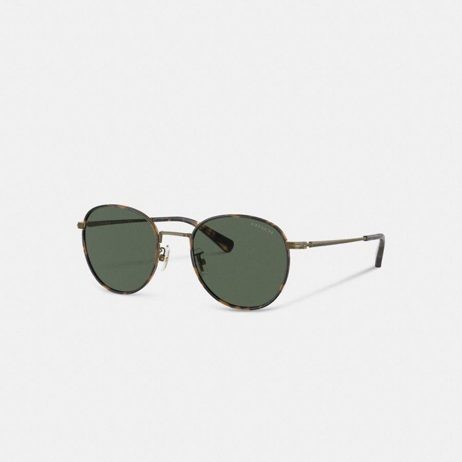 Lentes de Sol COACH Metal Windsor Round Hombre Verdes | QBZP-10643