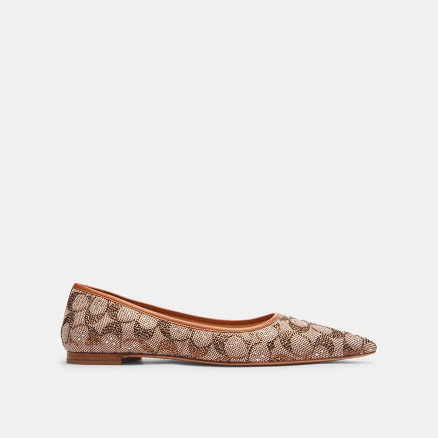 Mocasines COACH Daphne Flat In Crystal Signature Jacquard Mujer Marrom | ZUQJ-86041