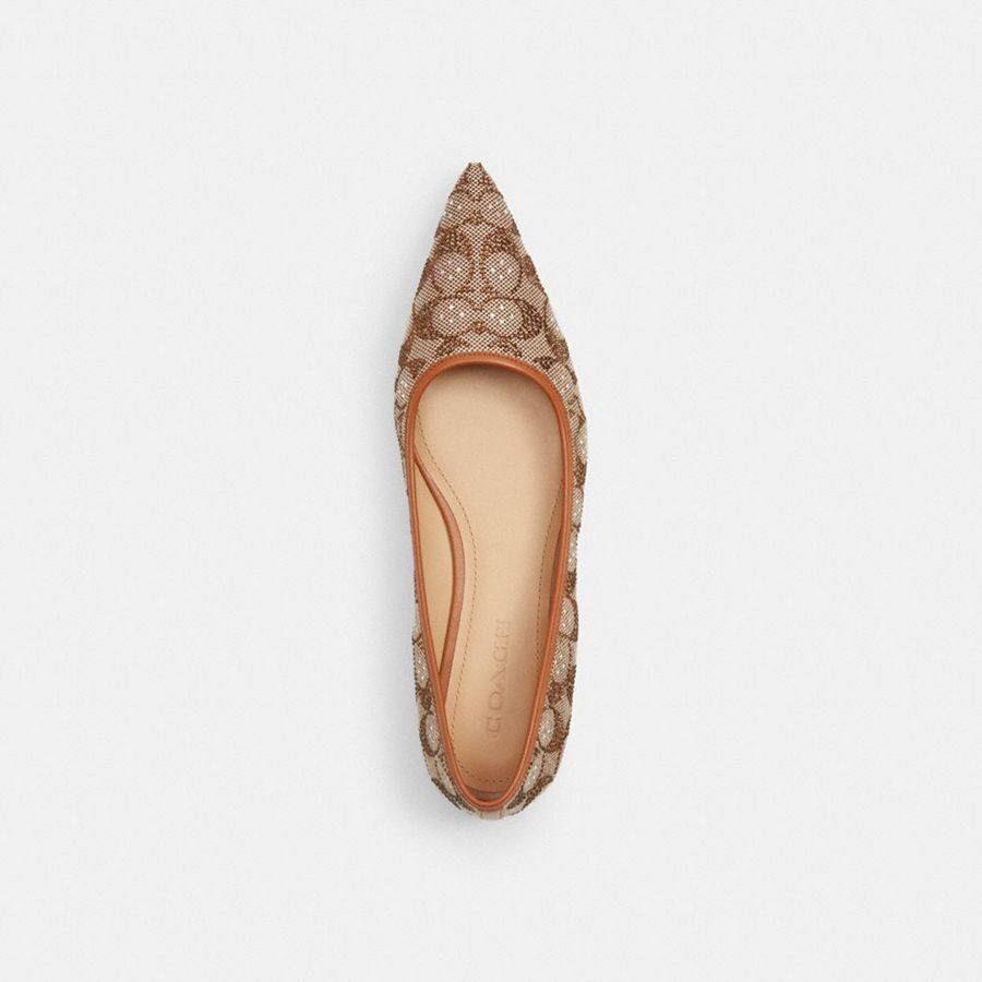 Mocasines COACH Daphne Flat In Crystal Signature Jacquard Mujer Marrom | ZUQJ-86041
