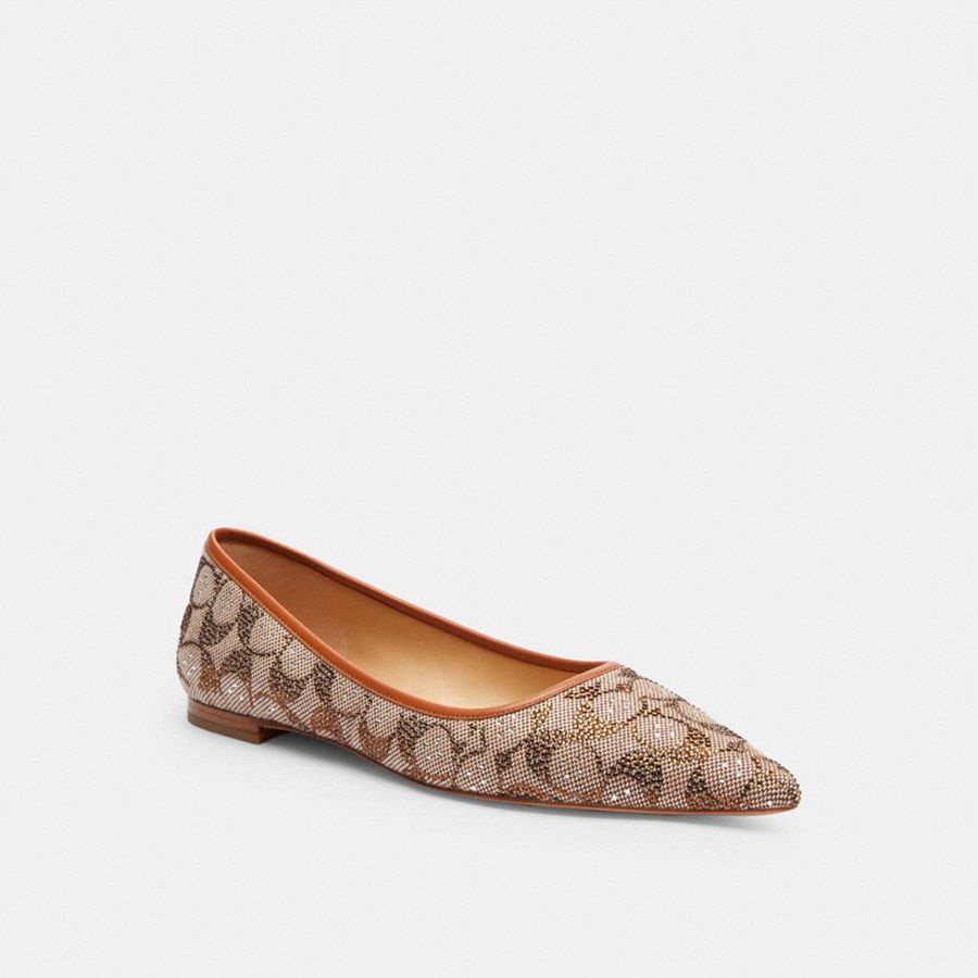 Mocasines COACH Daphne Flat In Crystal Signature Jacquard Mujer Marrom | ZUQJ-86041