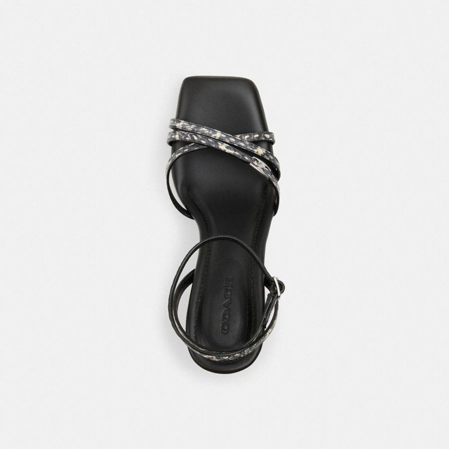 Sandalias COACH Kelsey In Snakeskin Mujer Negros | YGTH-62405