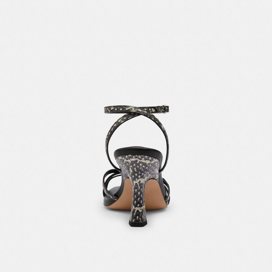 Sandalias COACH Kelsey In Snakeskin Mujer Negros | YGTH-62405