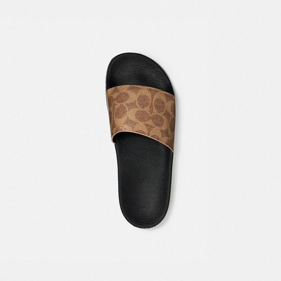 Sandalias COACH Udele Sport Slide In Signature Canvas Mujer Marrom | GEHV-35172