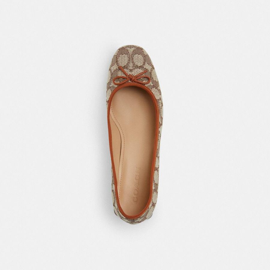 Tacones COACH Ava Ballet In Signature Textile Jacquard Mujer Marrom | LXDJ-20497